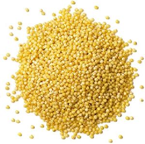 Organic kodo millet