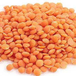 Organic Red Masoor Dal