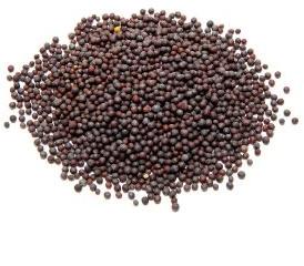 Mustard Seeds