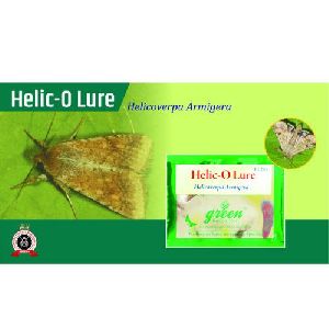 Helicoverpa armigera Pheromone Lure