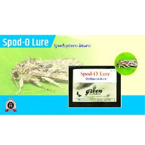 Spod-O Pheromone Lure