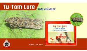 tomato leafminer pheromone lure