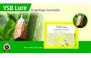 YELLOW STEM BORER PHEROMONE LURE