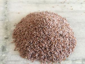 Psyllium Seed (ISABAGOL)