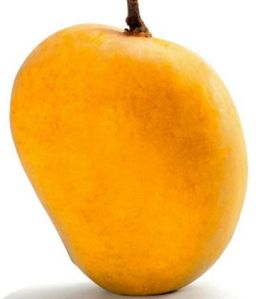 Alampur Mango