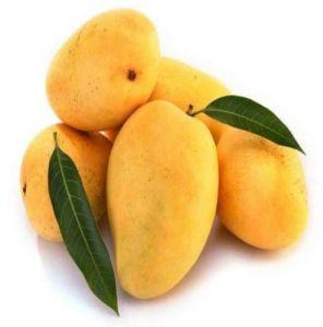 Badami Mango