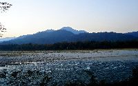 Manas National Park Tour Packages