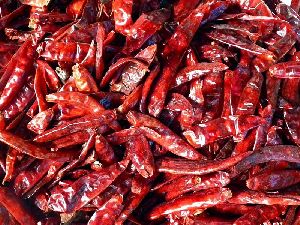 Dry Chili Peppers