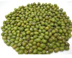 Mung Bean