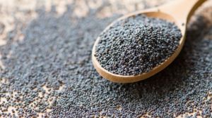 Poppy Seeds