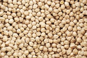 White Chickpeas