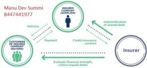 Trade Credit Insurance