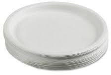 Disposable White Sitting Plates