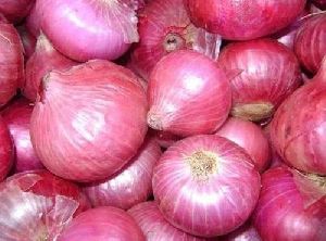 Fresh Pink Onion