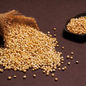 Sorghum Seeds