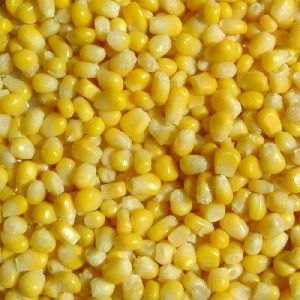 IQF CORN