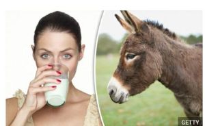 donkey milk .