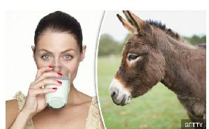 Donkey Milk