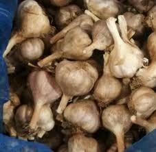 Original Kodaikanal Hill Garlic