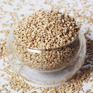 Sesame Seeds