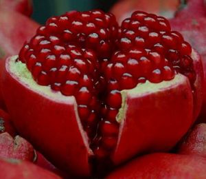 Pomegranates