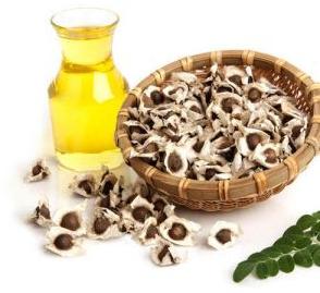 Moringa Seed Oil