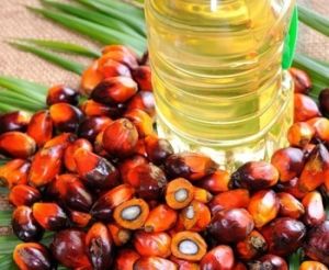 Palm Oil