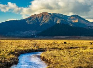 Phobjikha Valley Tour Service