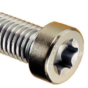 Torx Head Screw