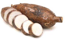 Cassava Root