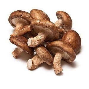 Fresh Shiitake Mushroom