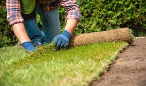 Landscaping Services