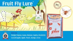 Peach Fruit Fly Lure