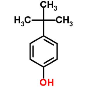 para tertiary butylphenol