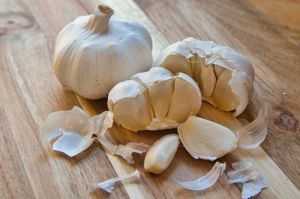 Fresh Garlic