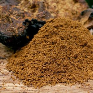 Shilajit Extract