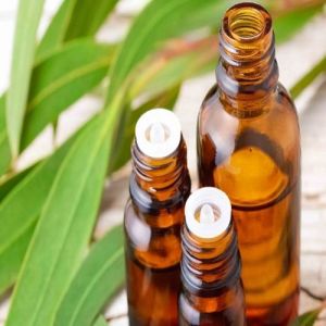 Eucalyptus Essential Oil