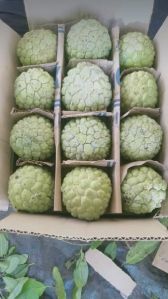 Custard Apples