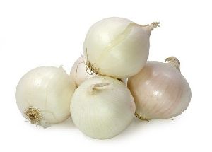 Fresh White Onion