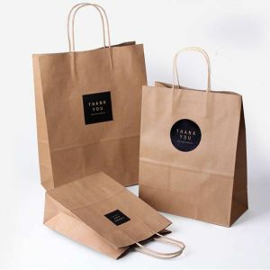 Paper Carry Bags