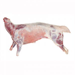 mutton carcass