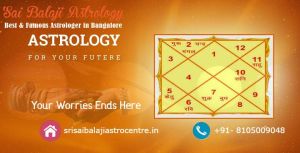 Astrology & Vaastu Services