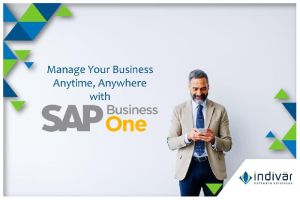 sap business one partner