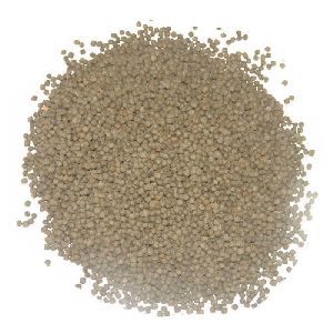 Praan Pellet Fish Feed