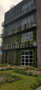 vertical gardens