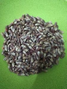 Date seed powder