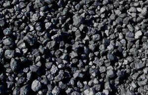 Petroleum Coke