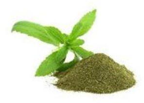 Stevia Powder