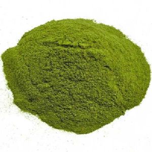 Wheat Grass Powder