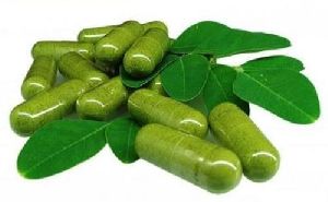 Moringa Capsules